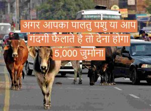 अगर आपका पालतु पशु