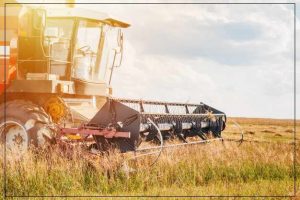 देवरिया - कंबाइन से कुचलकर