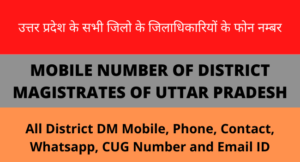 All District DM Mobile, Phone, Contact, Whatsapp, CUG Number and Email ID