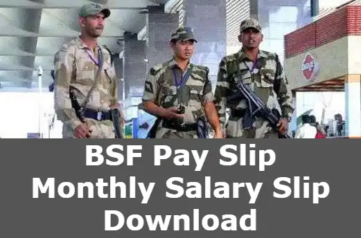 BSF Pay Slip, Monthly Salary Slip Download at bsf.gov.in